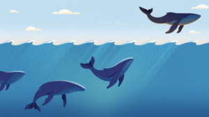 Leaping Whale Illustration by Diana Bolton